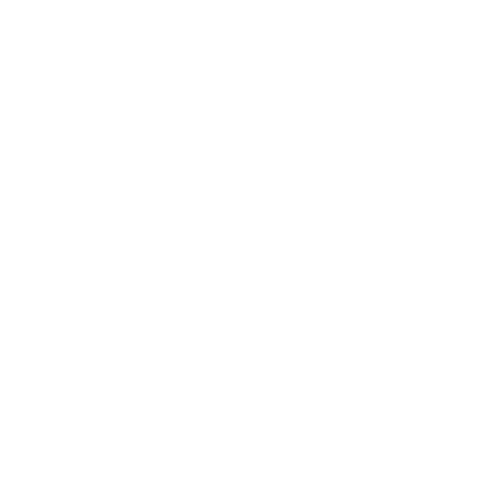 Choksi Logo
